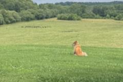 One of NPA's Best Friends