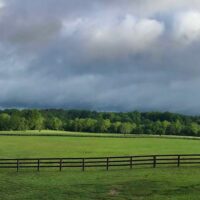 18278956_10155218332479318_8194309567763265376_o